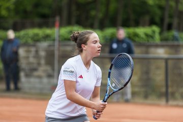 Bild 263 - BL DTV Hannover - BW Dresden Blasewitz : Ergebnis: 2:7